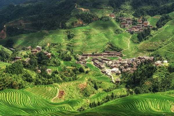 Longi Райс тераси — стокове фото