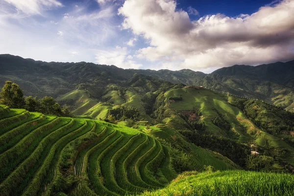 Longi rice terrace — Stock Photo, Image