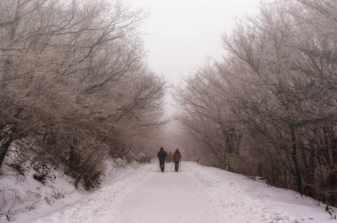 nogodan zirveye kadar hiking