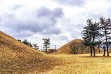 sonbahar yaprakları ile Kraliyet Höyük