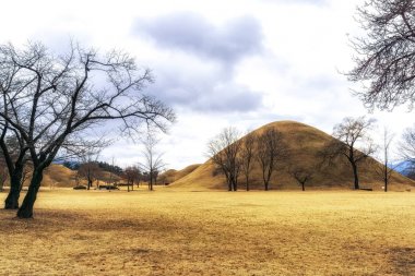 sonbahar yaprakları ile Kraliyet Höyük