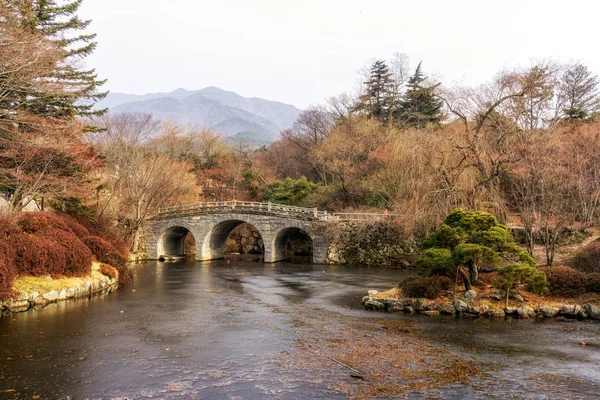 Bulguksa entrada estanque congelado — Foto de Stock