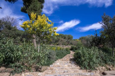 Guell park sahne