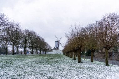 Bruges yel değirmeni park
