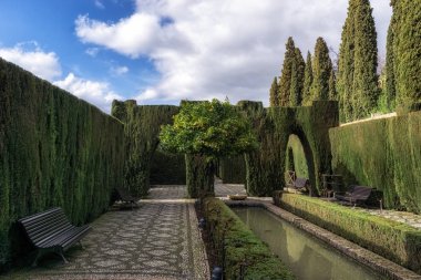 Portakal ağacı Generalife