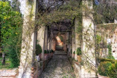 hedge ve üzüm Generalife arasında yol