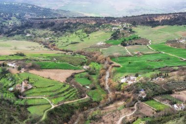 Ronda yakın İspanyol countrysides