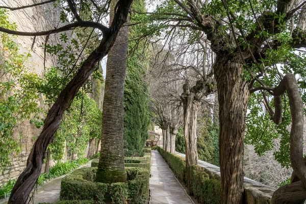 Mały ogród w alcazaba — Zdjęcie stockowe