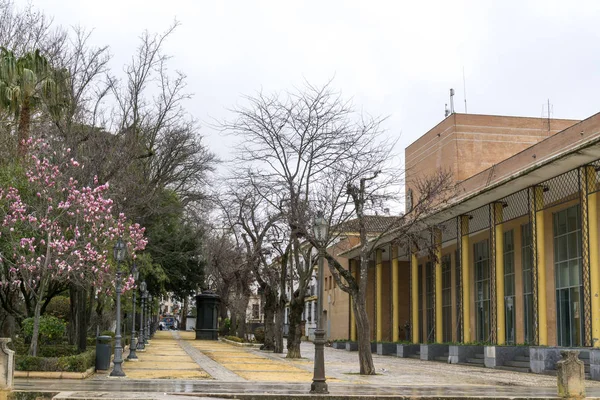 Alameda del tajo — Foto de Stock