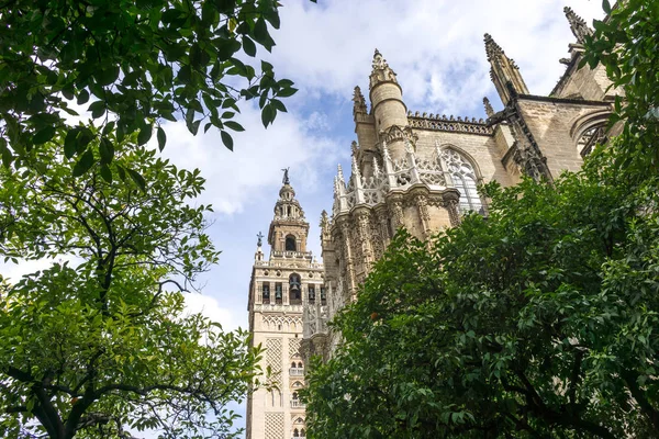 View of Giralda from orange tree courtyard — Stock Photo, Image