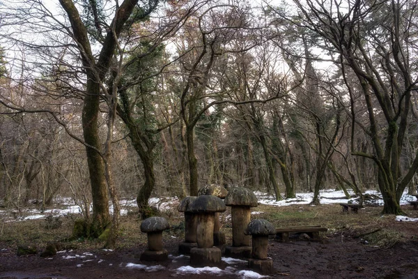 Saryeoni Forest Trail rzeźba grzyb zimą — Zdjęcie stockowe