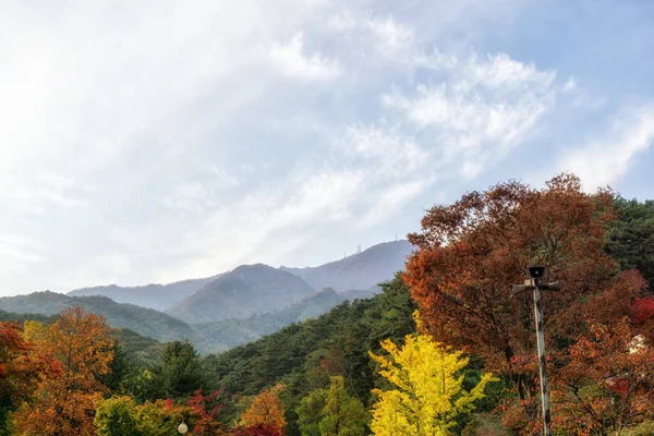 Follaje de otoño en yongmunsa — Foto de Stock