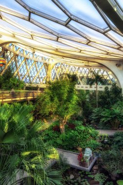 Seul Botanik Parkı Tropikal