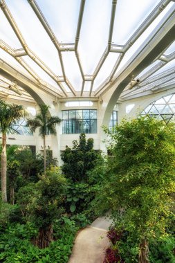 Seul Botanik Parkı Tropikal