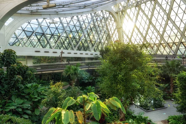 Tropikalny park botaniczny w Seulu — Zdjęcie stockowe