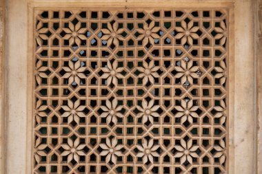 Jaswant Thada desenleri
