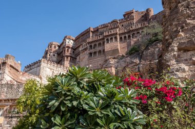 Mehrangarh kale manzarası