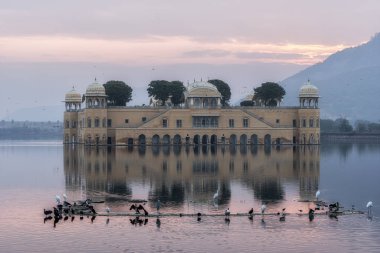Jal Mahal Su Sarayı Gündoğumu
