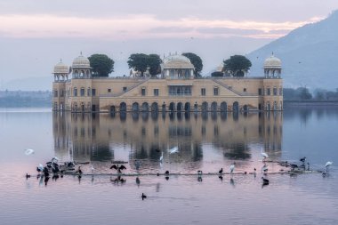 Jal Mahal Su Sarayı Gündoğumu