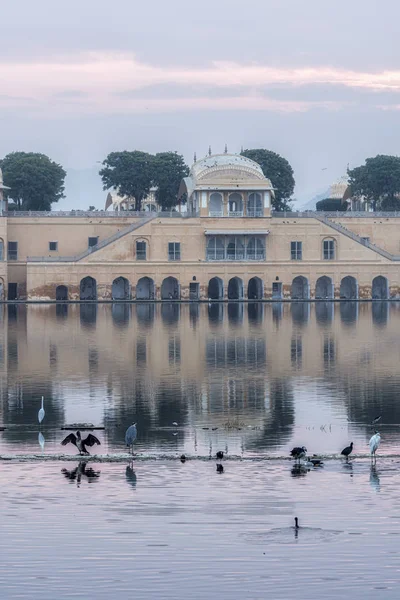 Jal mahal water palace sunrise — Stock Photo, Image