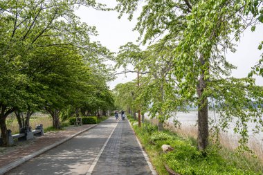 İnsanların bisiklet sürebileceği ya da uzun yürüyüşler yapabileceği Gyeongpoho Gölü 'nün etrafındaki küçük geçitler. Gangneung, Güney Kore 'de çekildi.