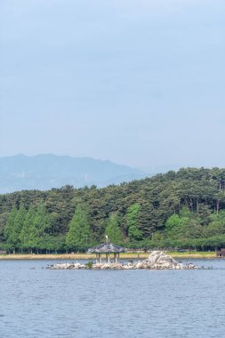 Gyeongpoho Gölü 'nün ortasındaki Wolpajeong köşkü birçok göçmen kuşun evidir. Gangneung, Güney Kore 'de çekildi.