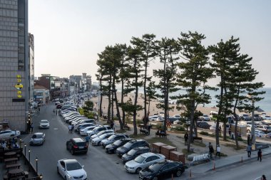 Gangeung Kahve Sokağı 'nda ünlü olan Anmok Sahili' ndeki çeşitli kafeler boyunca turistler kalabalıktı. Gangeung, Güney Kore 'de Mayıs 12020' de çekildi..