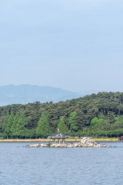 Павильон Wolpajeong Центре Озера Кёнпохо Является Домом Многих Перелетных Птиц — стоковое фото