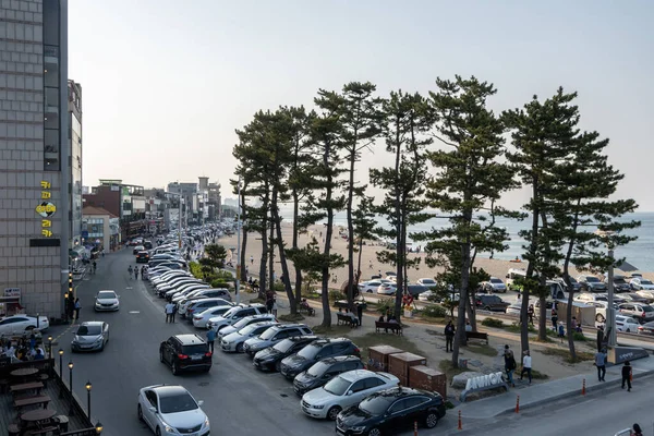 Gangeung Kahve Sokağı 'nda ünlü olan Anmok Sahili' ndeki çeşitli kafeler boyunca turistler kalabalıktı. Gangeung, Güney Kore 'de Mayıs 12020' de çekildi..
