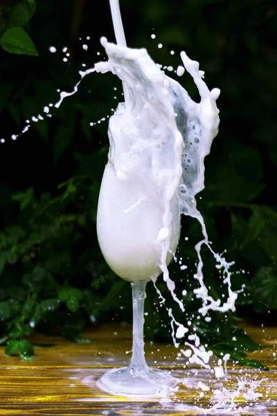 Jet de lait du haut vers le verre avec un lor de gouttes autour sur la surface jaune humide en bois — Photo