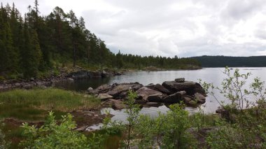 Norveç doğası, güzel manzara, manzara