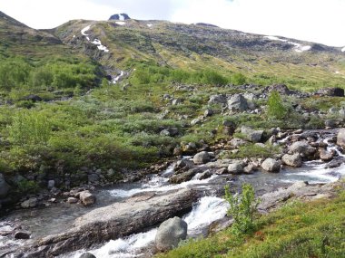 Norveç doğası, güzel manzara, manzara