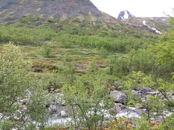 Норвежская Природа Красивый Вид Пейзаж — стоковое фото