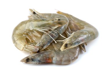 Beyaz arkaplanda çiğ karides