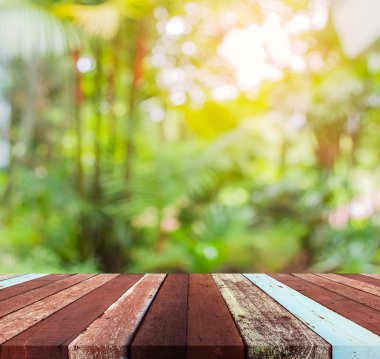 Ağaç yeşili arkaplanının soyut Bokeh 'inin bulanık resmi 