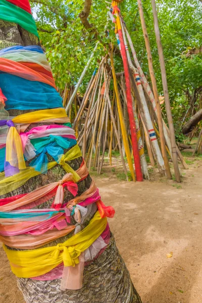 Krücken Unter Bodhi Bäumen Bei Phra Tad Lampang Luang Der — Stockfoto