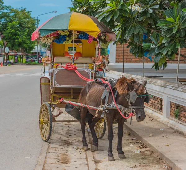 สายการบินที่ออกแบบมาสําหรับผู้โดยสารส่วนตัว . — ภาพถ่ายสต็อก