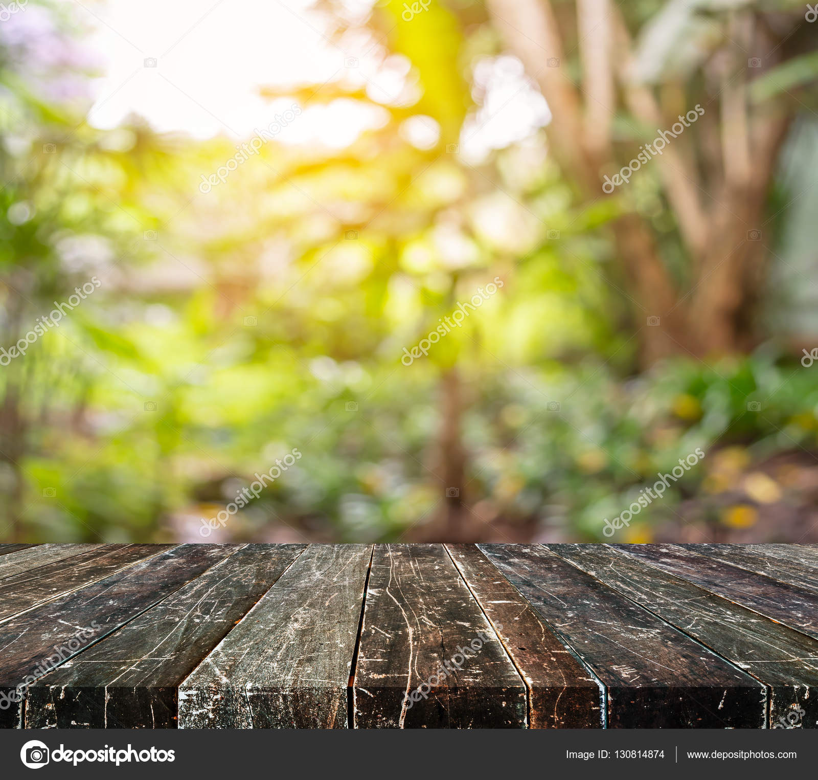 Blur image of Abstract Bokeh of tree green color background Stock Photo by  ©coffmancmu 130814874