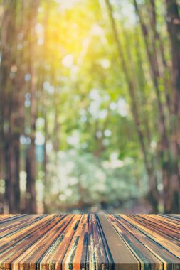 Sabah güneşli yeşil bambu ormanı 