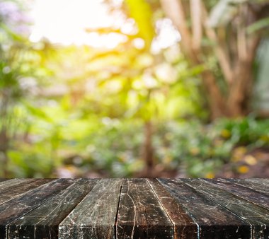 Ağaç yeşili arkaplanının soyut Bokeh 'inin bulanık resmi 