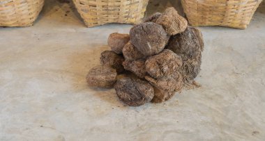 fil boku yere görüntüsünü.