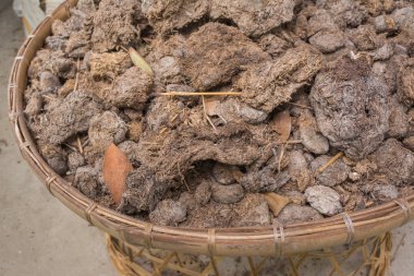 fil boku yere görüntüsünü.