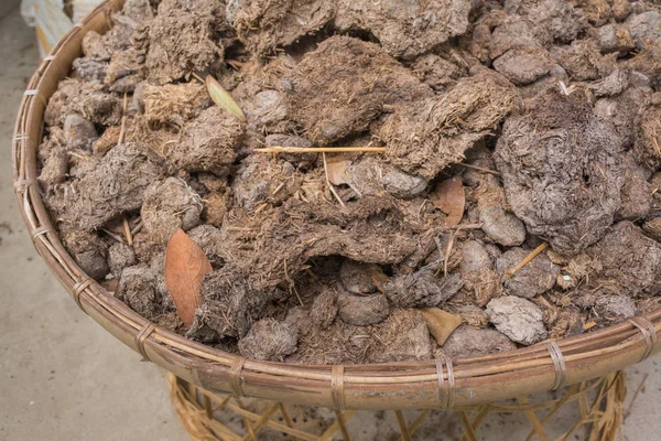 fil boku yere görüntüsünü.