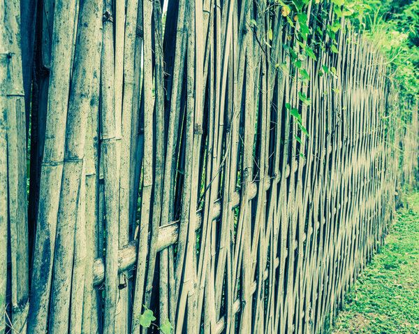 Close up shot of bamboo fence texture for background .