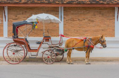 Özel yolcu için tasarlanmış taşıma.