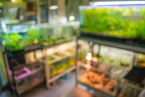 Blur Image Aquarium Shop Plant Tank Background Usage — Stock Photo, Image