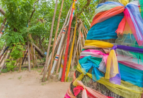 泰国兰榜省Phra Tad Lampang Luang的Bodhi树下的拐杖 — 图库照片