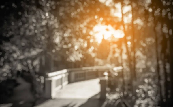 Abstraktes Verschwommenes Bild Eines Leeren Gehwegs Zum Grünen Garten Zur — Stockfoto