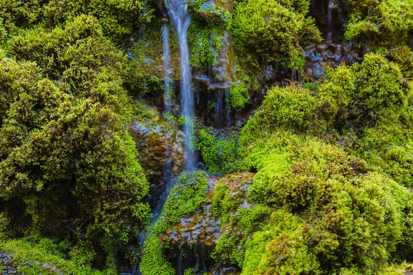 Moos auf dem Felsen zur Zeit des Wasserfalls. — Stockfoto