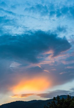 Arkaplanda ağaç ve günbatımı görüntüsü.